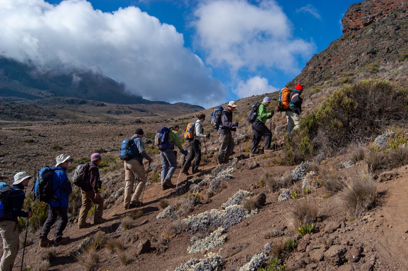 Hikers ascending a high-altitude trail on Kilimanjaro
